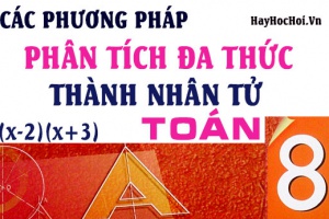 Các phương pháp phân tích đa thức thành nhân tử và bài tập vận dụng - Toán lớp 8